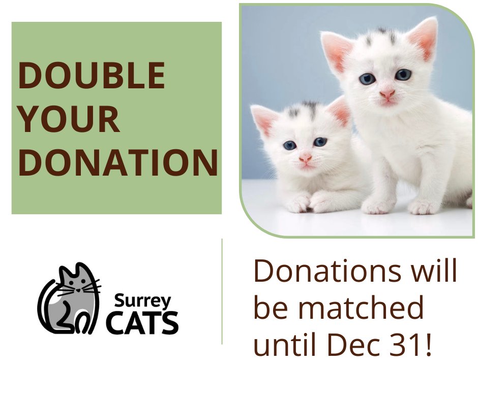 Help us spay and neuter Surrey Cats on our waiting list! 
You can make a donation at canadahelps.org/en/dn/30244 or surreycats.ca/donatemoney Thank you!
Charitable donation tax receipts are available.