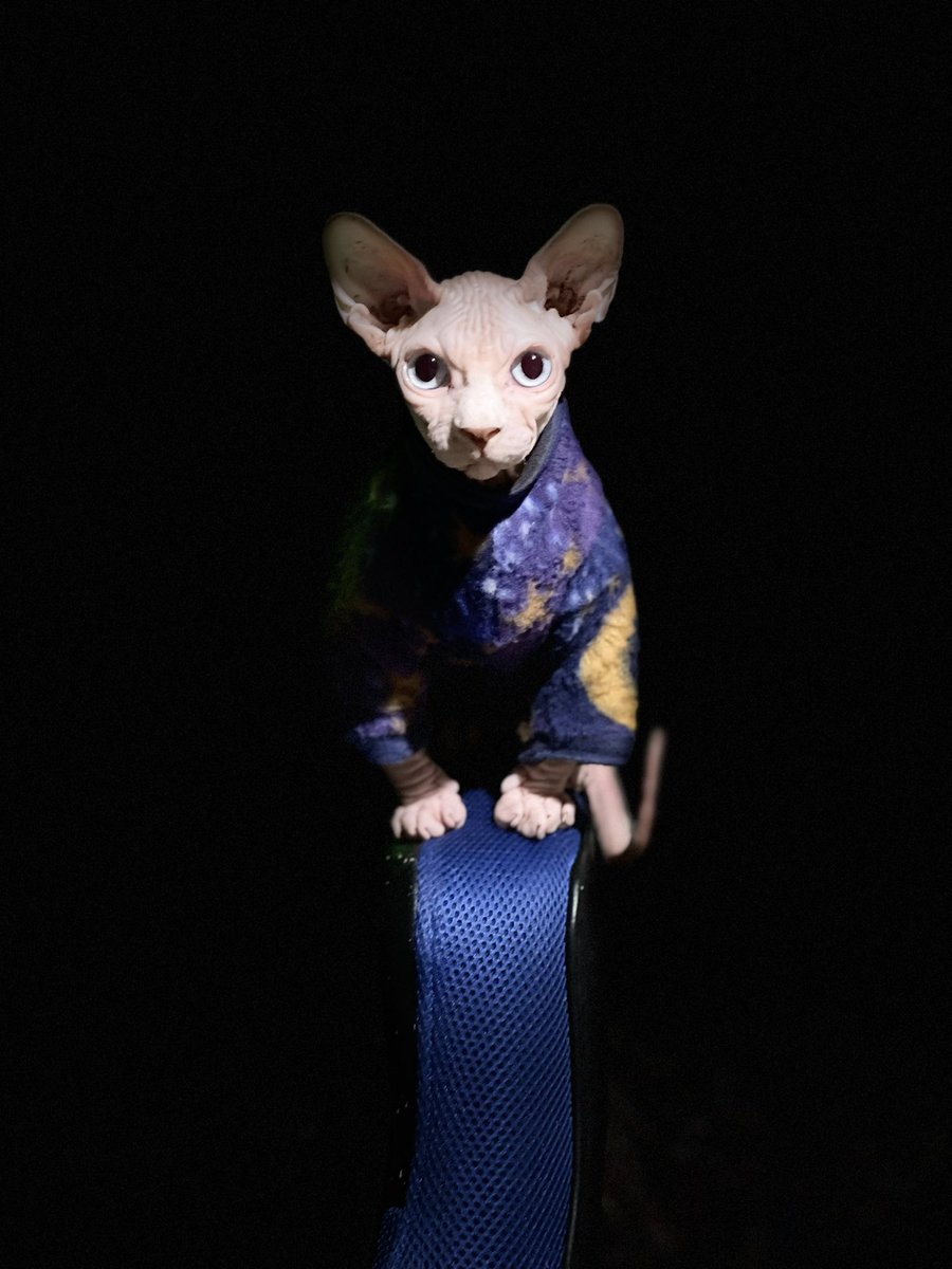 CEX OFFENDER tweet media