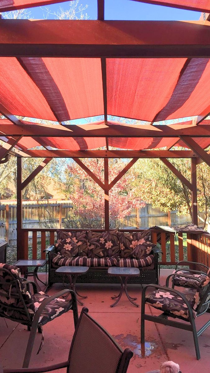 𝗗𝗼 𝘆𝗼𝘂 𝗹𝗶𝗸𝗲 𝘄𝗮𝗿𝗺 𝗰𝗼𝗹𝗼𝗿𝘀 𝗶𝗻 𝘄𝗶𝗻𝘁𝗲𝗿? 𝗥𝗲𝗱 𝗿𝗲𝗮𝗹𝗹𝘆 𝗺𝗮𝗸𝗲𝘀 𝗺𝗲 𝗳𝗲𝗲𝗹 𝘄𝗮𝗿𝗺𝗲𝗿😁

#winter2023 #patio #gardenlove #outdoor #sunshadesail #gardenideas #backyarddesign #outdoorinspiration #shadesail #balcony #backyard #warmcolors #color