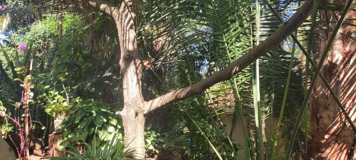 John RealFilm | Empowa Community SPO 💎 tweet media