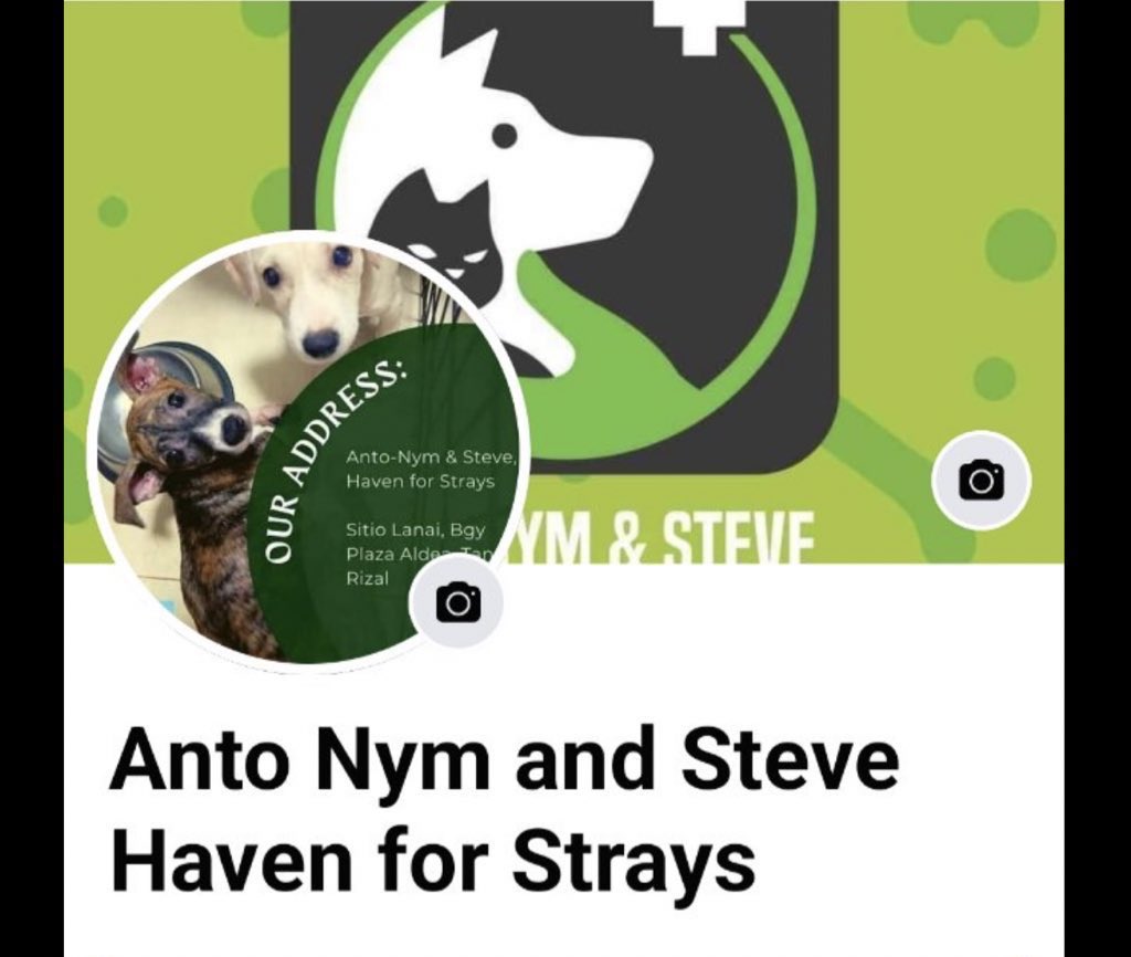 ABSCBNNews's tweet photo. More than 150 rescues are about to lose the first place they called home, Anto Nym and Steve Haven for Strays owner Edwina Villarosa said.

The shelter is part of a 25-hectare land. Villarosa agreed to sell the land after the original owner asked them to vacate. She is yet to be paid in full. | via @annacerezo_