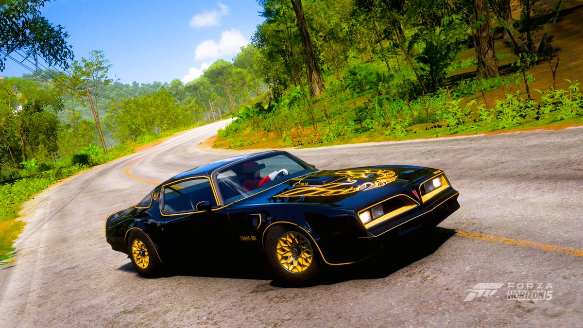 Ookura_YukinoV's tweet photo. 1977 Pontiac Firebird Trans Am
#ForzaHorizon5 #Pontiac #W87 https://t.co/3k3eZw43bp