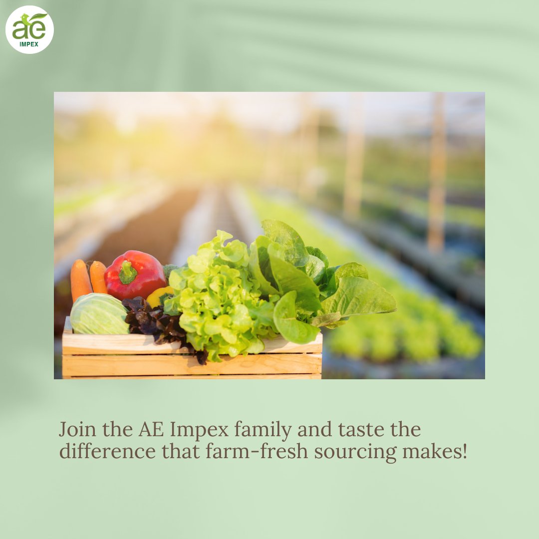 Indulge in the AE Impex Experience 🌿🍽️ - Where Farm-Fresh Sourcing Elevates Your Every Bite! Join Our Family Today. 🌱

#AEImpex #FarmFresh
#SustainableSourcing #FoodieFinds
#TasteTheDifference #CulinaryJourney
#FarmToPlate #LocalProduce #AE #DeliciouslyFresh #AmazingEnterprises