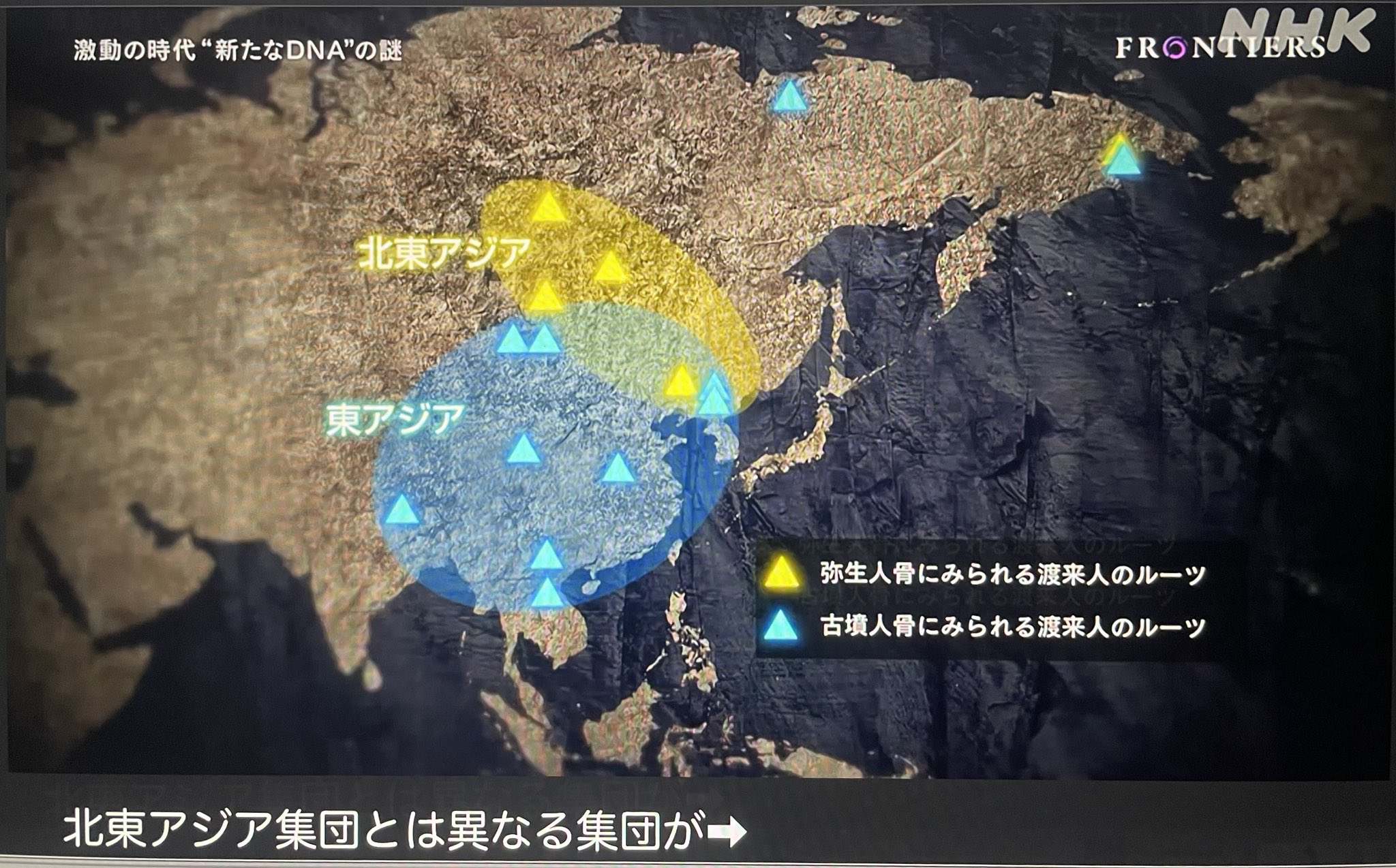 トイヌプリ(現代日本人♂) on X: トイヌプリ(現代日本人♂) on X: