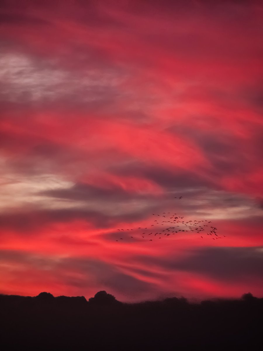 Beautiful red sky at sunset last night. One days close is a new days adventure ahead. 

Remember to get involved in our monthly photography challenge for December into New Year.

#NewBeginningsTMP 
#TheMobPhotographer