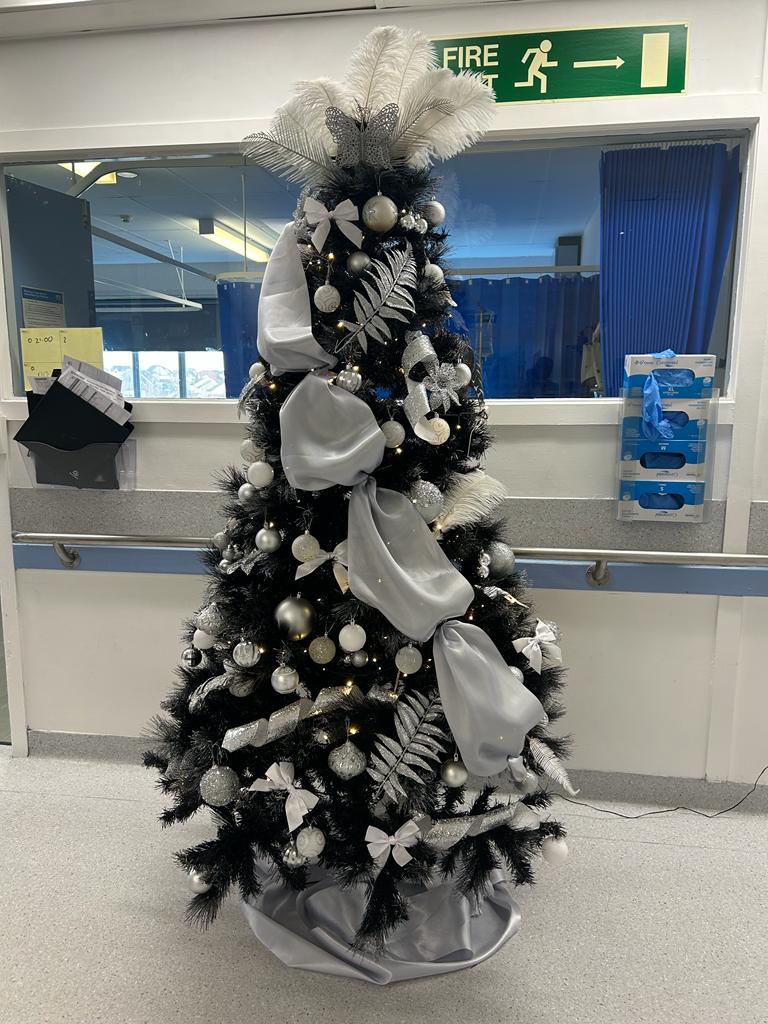 Special award in 3rd place to ward H North for a very beautiful tree adding a touch of flair and sophistication to our best dressed Xmas tree competition 2023, well done all who entered, merry Xmas #teamirh <a href="/NHSGGC/">NHS Greater Glasgow and Clyde</a> <a href="/LornaLoudon/">Lorna Loudon</a>
