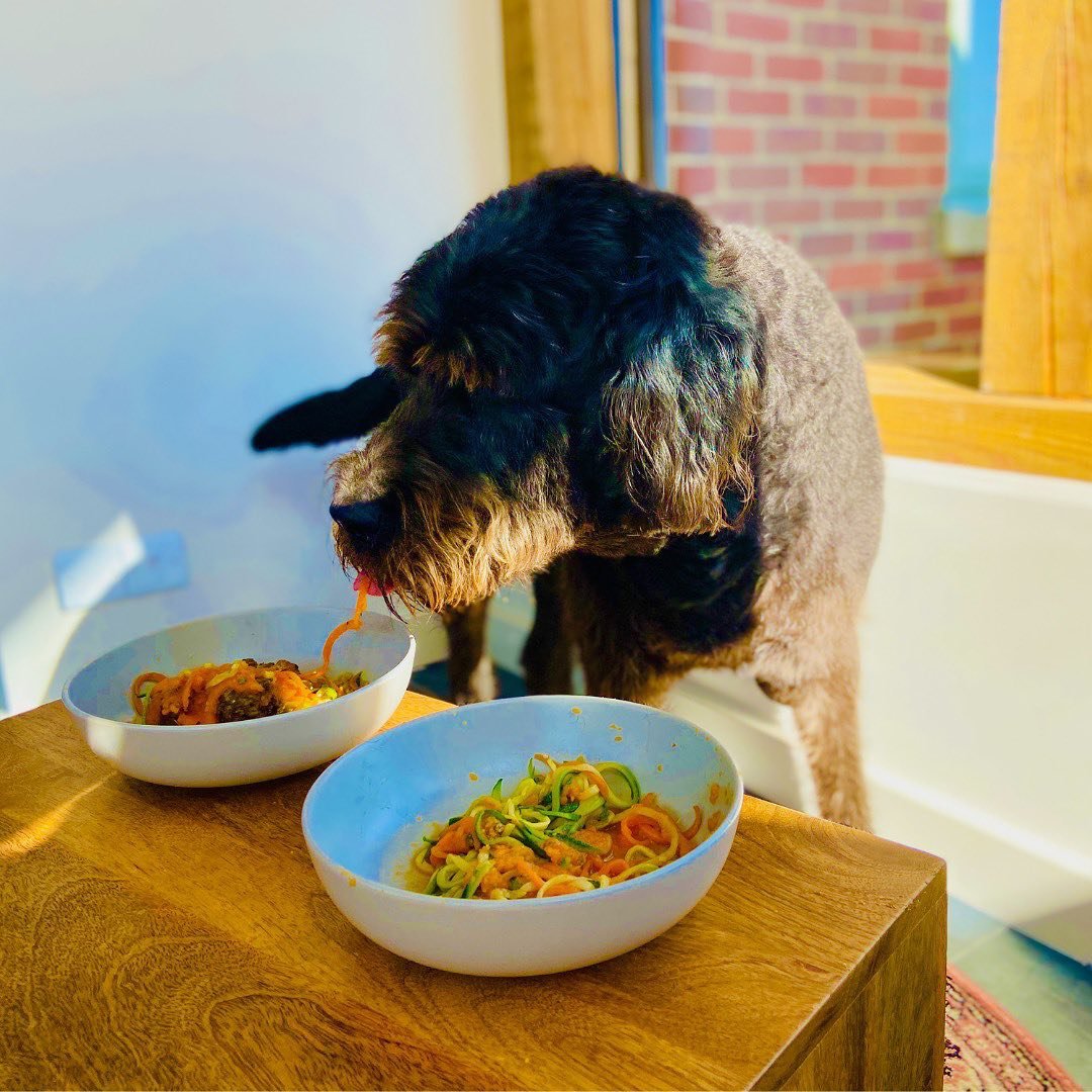 You don’t need a silver fork to eat good food - you just need a long tongue and a human slave to lift you up! Hug Pet Food is the only #rawfood that can also be cooked - allowing you to a cook up a real feast for your #dog😋 dotty4paws.co.uk/businesses/lis… #EarlyBiz