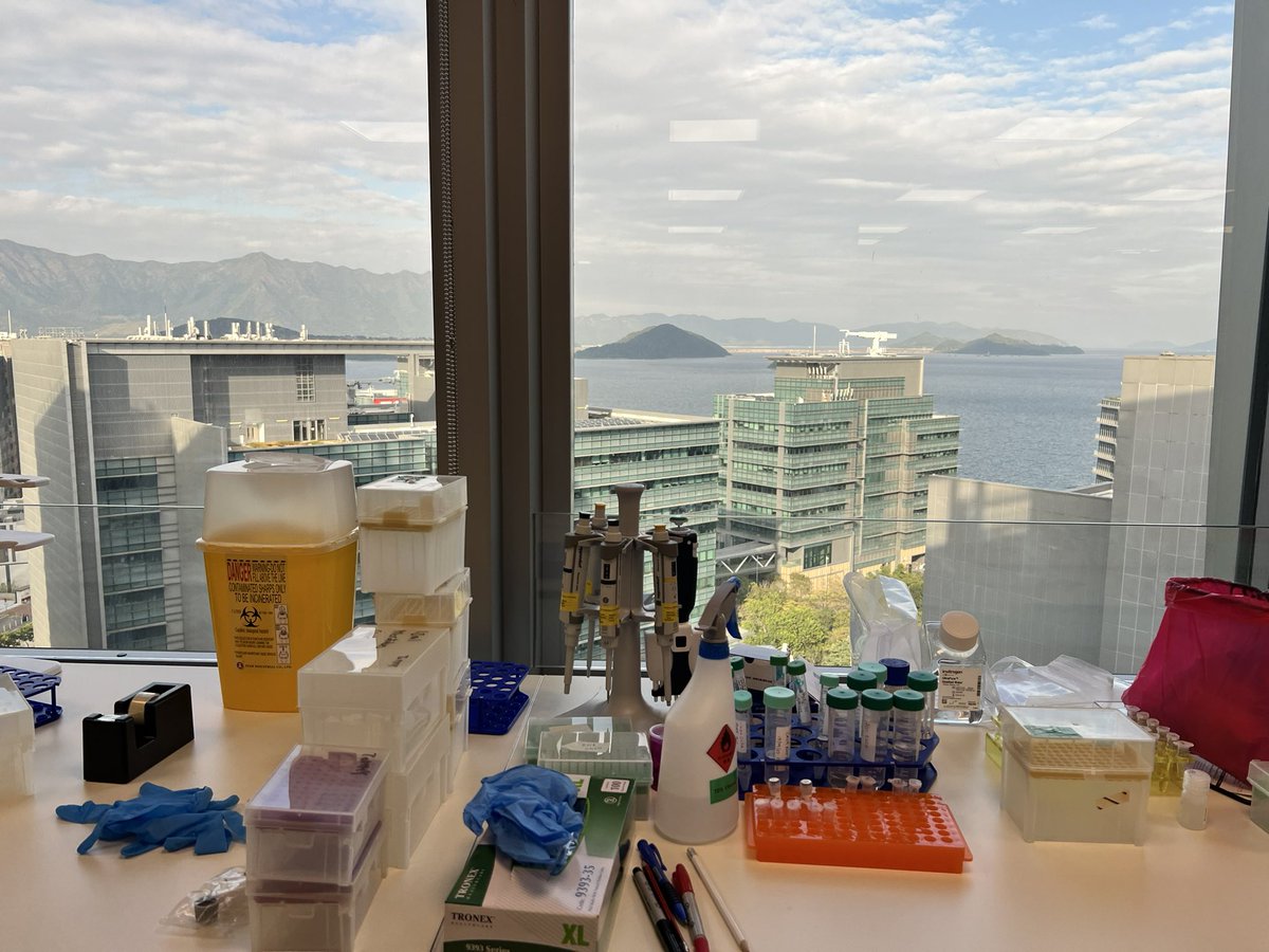 One of the best benches I have seen