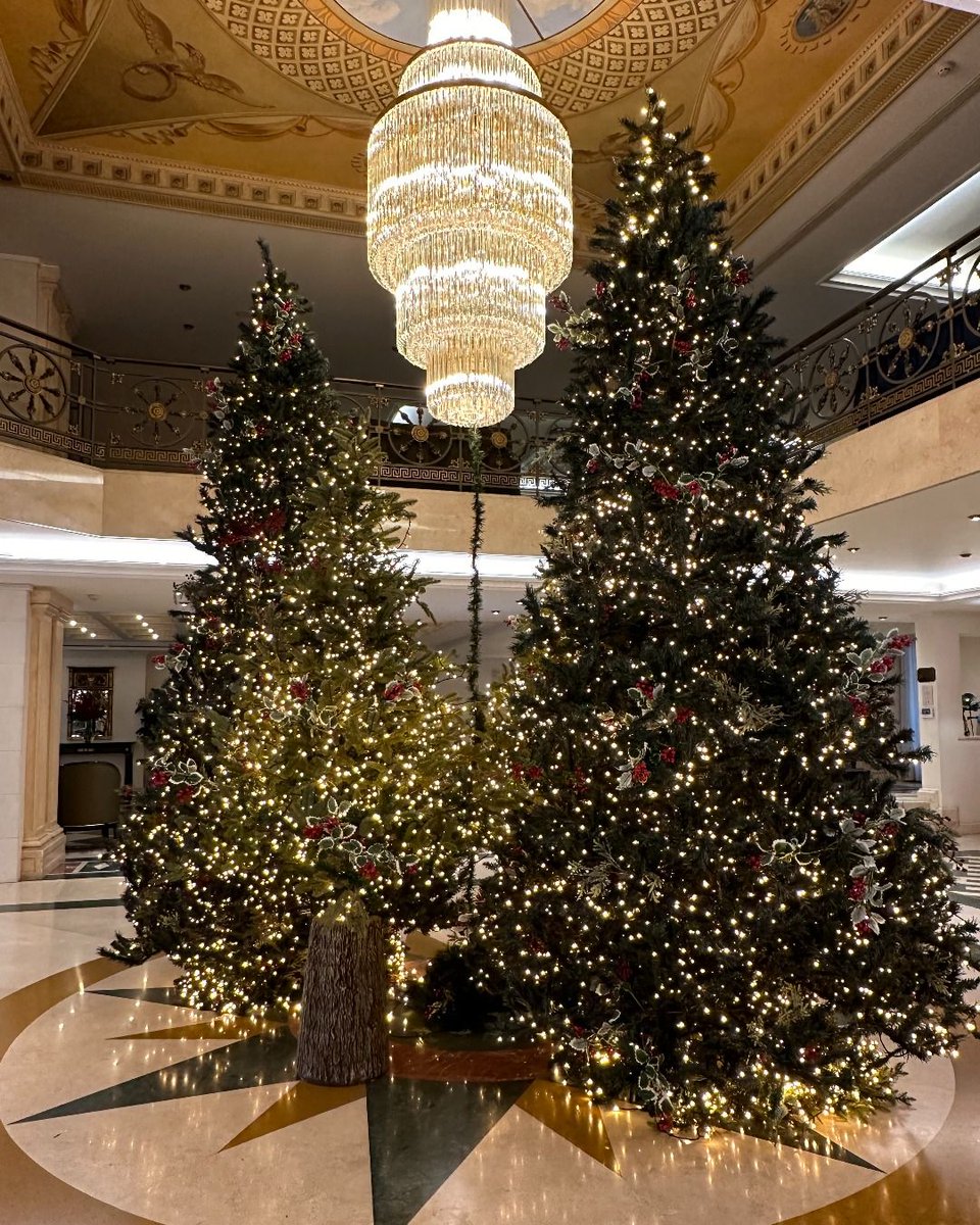 We are ready to welcome you for a holiday brimming with happiness and warmth at our festively adorned #Hotels in Athens and Thessaloniki🎄 #ElectraExperience #LuxuryHotel #LuxuryLiving #LuxuryStay #PureGreekHospitality