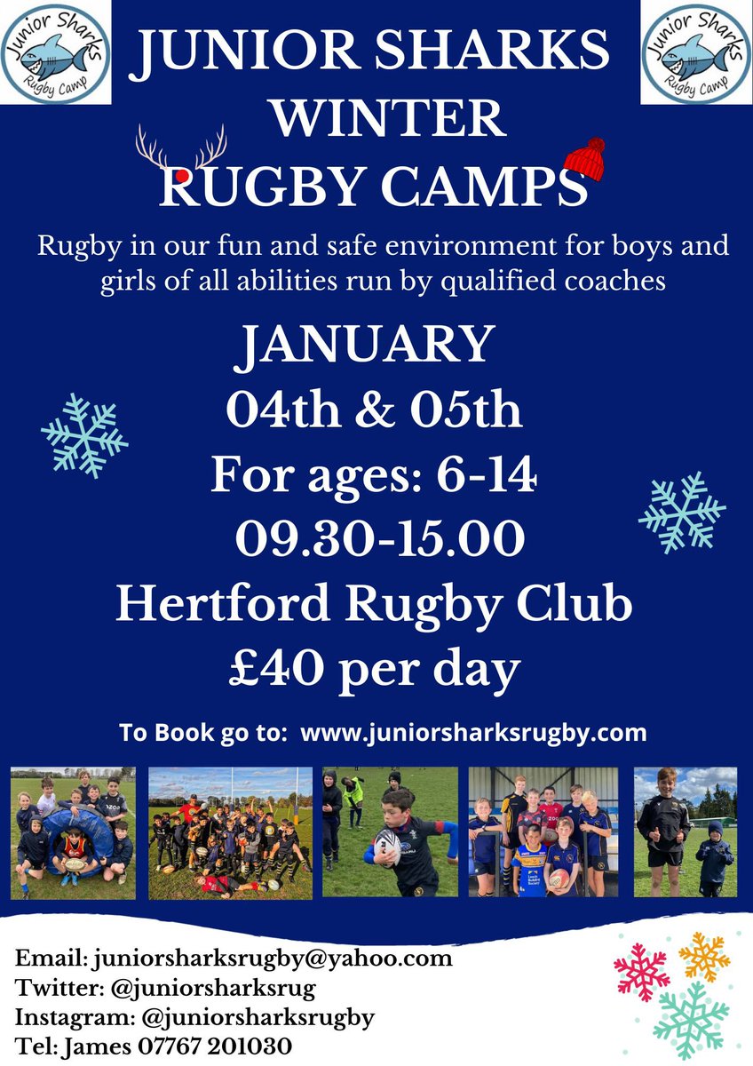 Juniorsharksrugby tweet media
