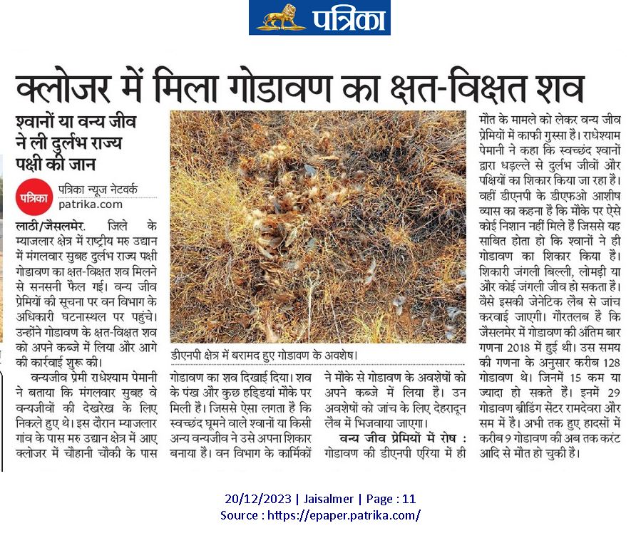 sumitdookia's tweet photo. #गोडावण_बचाओ
We need population census and a revised protection cum insitu conservation plan
@ForestRajasthan @thardesertphoto @RadheBishnoi__ 
@RajCMO @byadavbjp @moefcc https://t.co/8zp7YWUUAG