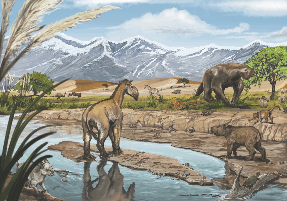 Redefining the Huayquerian Stage: biostratigraphical analysis &amp; geochronological dating onlinelibrary.wiley.com/doi/10.1002/sp… <a href="/RomanoCristo/">CristoRomano</a> @jorgeblancopaleoarte <a href="/ianigla/">IANIGLA - CONICET</a> <a href="/CONICETDialoga/">CONICET Dialoga</a> <a href="/datadryad/">Dryad</a>  @wileyearthspace