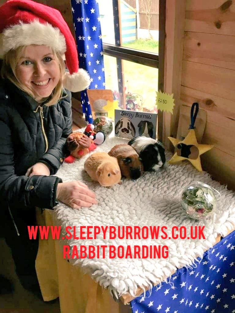 sleepy_burrows's tweet photo. It's going to be a busy couple of days welcoming our Christmas Boarders and we can't wait to see you. We have our Santa and Christmas Hay cookies all ready #Rabbitboarding #Rabbits #Guineapigs #petboardingserviceinlomdon #veterinarynurselife 🎄🎁🐰🐰⛄🎅 https://t.co/4235cWWPyS