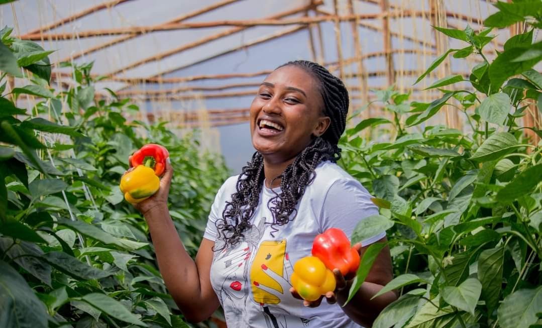 #Vegetablefarming in #Rwanda is becoming more and more developed and it also shows a great role in improving the economy, reducing poverty, fighting malnutrition, self-sufficiency in food and providing employment, the climate and soil of Rwanda are suitable for vegetable farming.