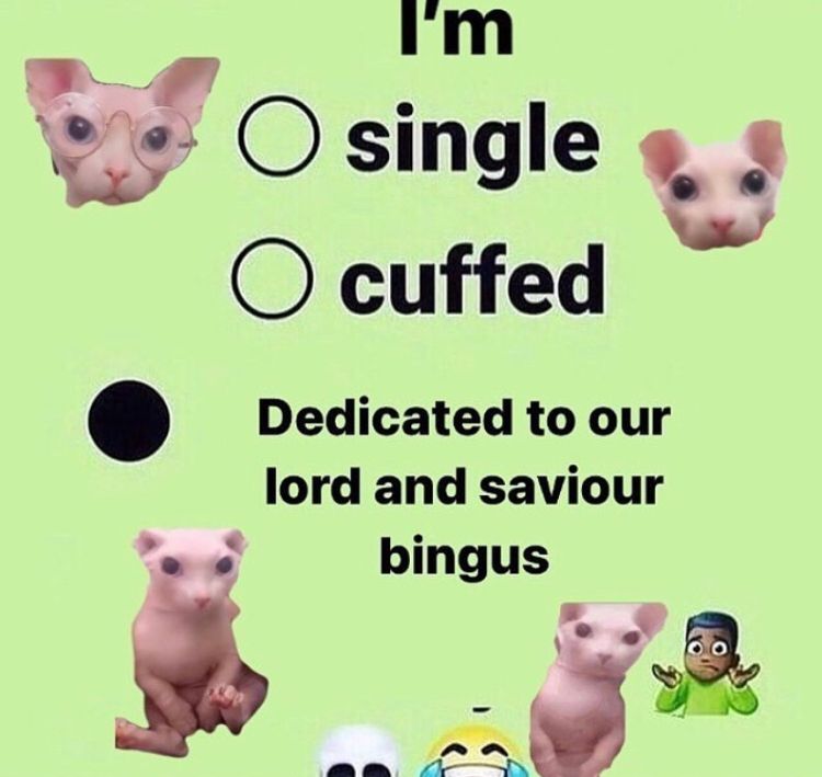 cryptobrev tweet media