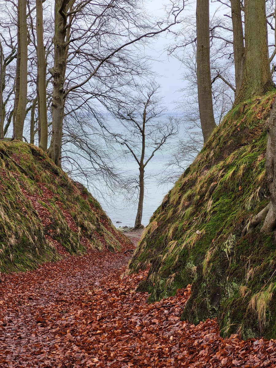 Am Ende wartet ein Baum