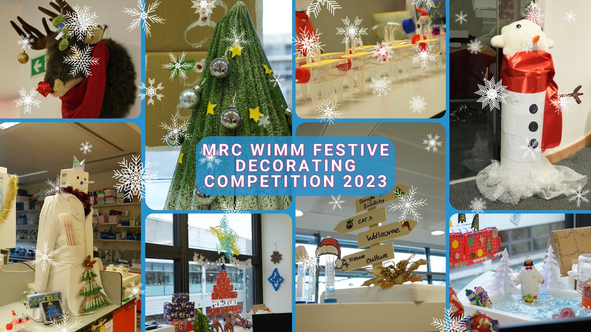 MRC_WIMM's tweet photo. This December, various teams throughout the MRC WIMM got creative for the annual Festive Decorating Competition 🎨🎄☃️

Yesterday, at the WIMM Christmas Party, the winners were crowned...

In 3rd place was the Rehwinkel Lab 🥉
2nd place went to the HSCB Lab 🥈
And the winners were the Higgs Lab! 🥇

Read the full story and see more pictures here: https://t.co/YzLYYSgWCQ