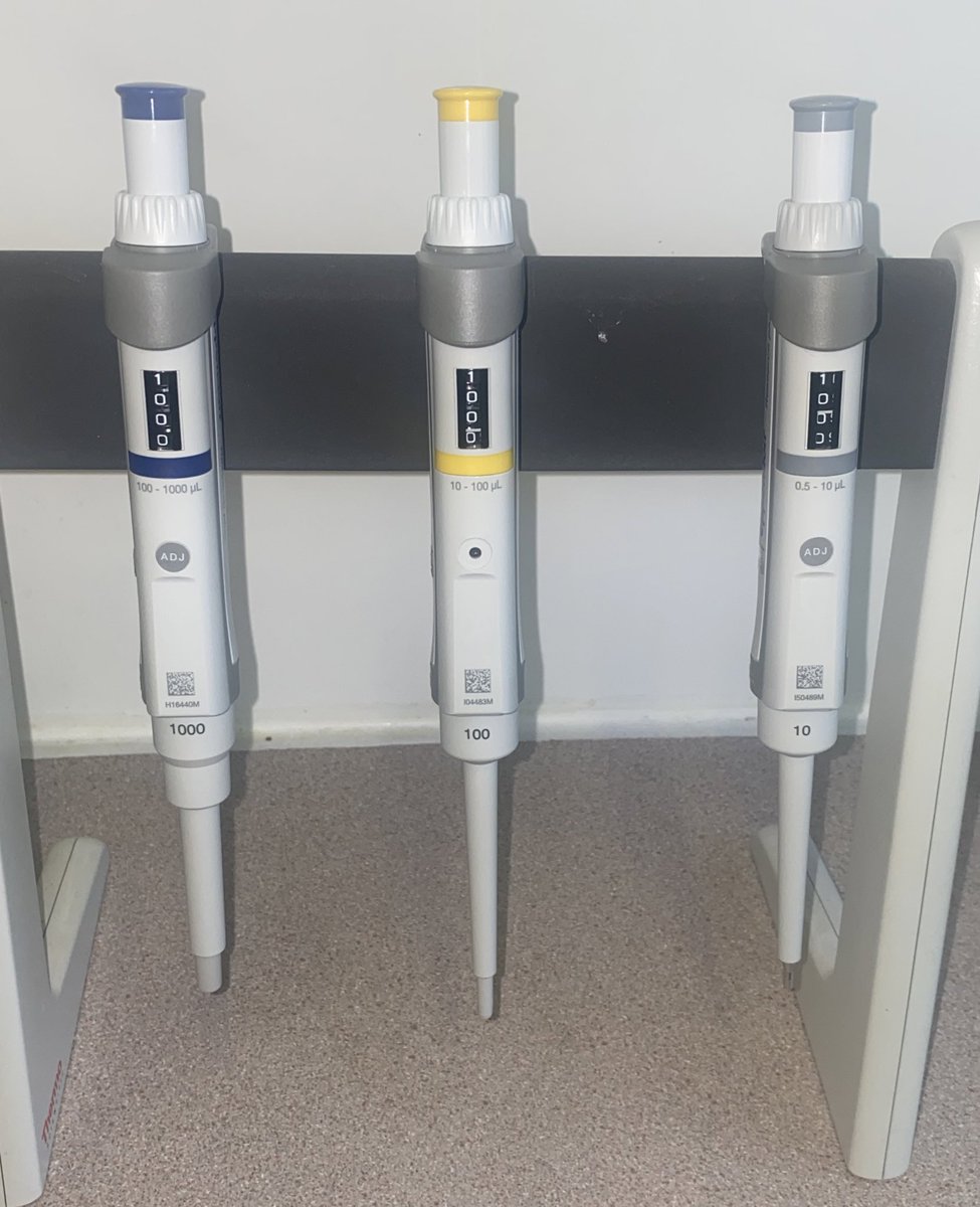 Naoisemckenna00's tweet photo. Iโm excited to try out our new @Eppendorf_Group pipettes, however, Iโm so sad they didnโt come with the legendary eppendorf pipette pen!!! โน๏ธ
Maybe one day!
#eppendorflife @afbi_cross https://t.co/HXsRDPheBA