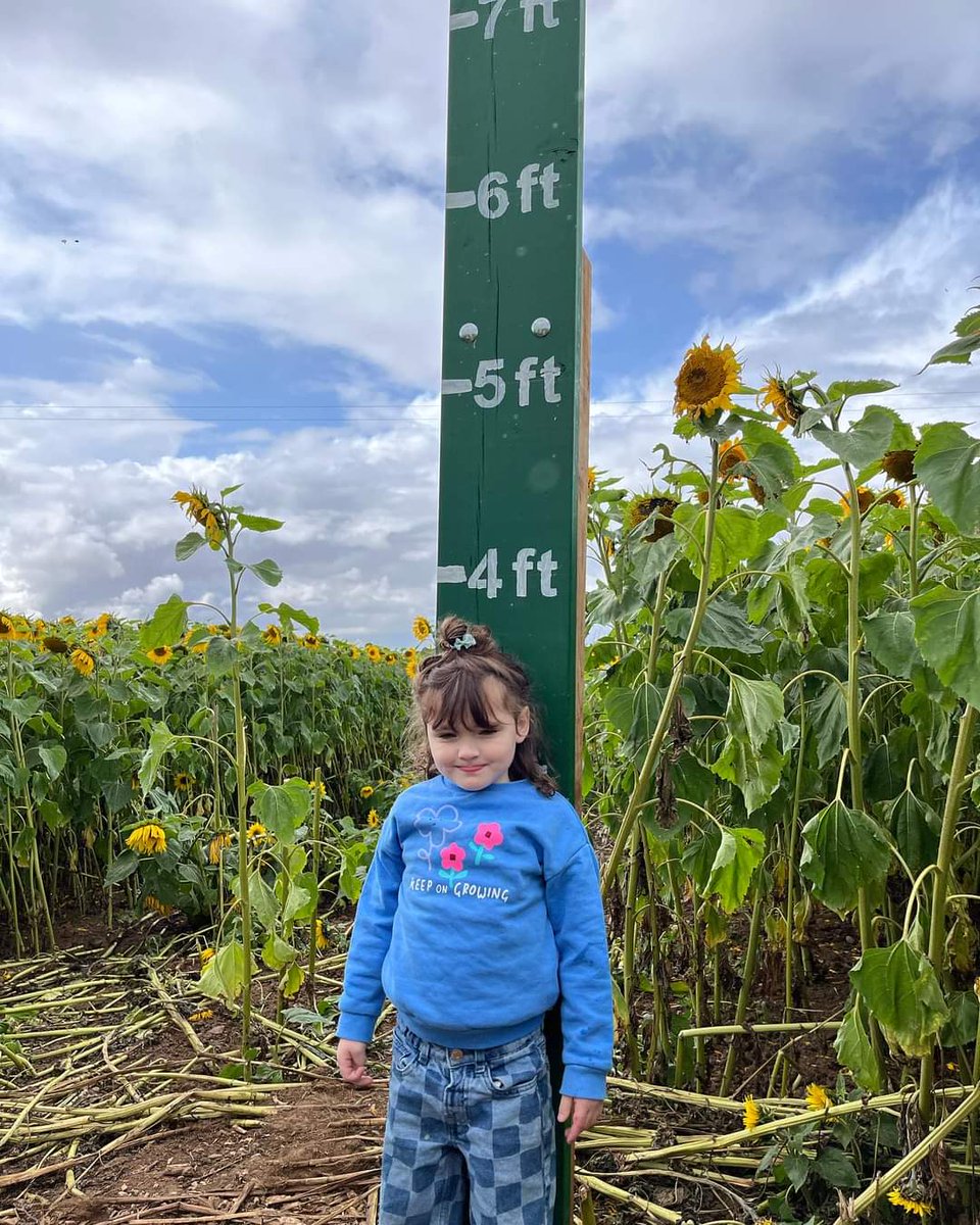 We've updated everywhere else, but sadly forgot to update X.

Sadly, Flora Relapsed in July of this year and is currently undergoing treatment in hope to get rid of this terrible disease.