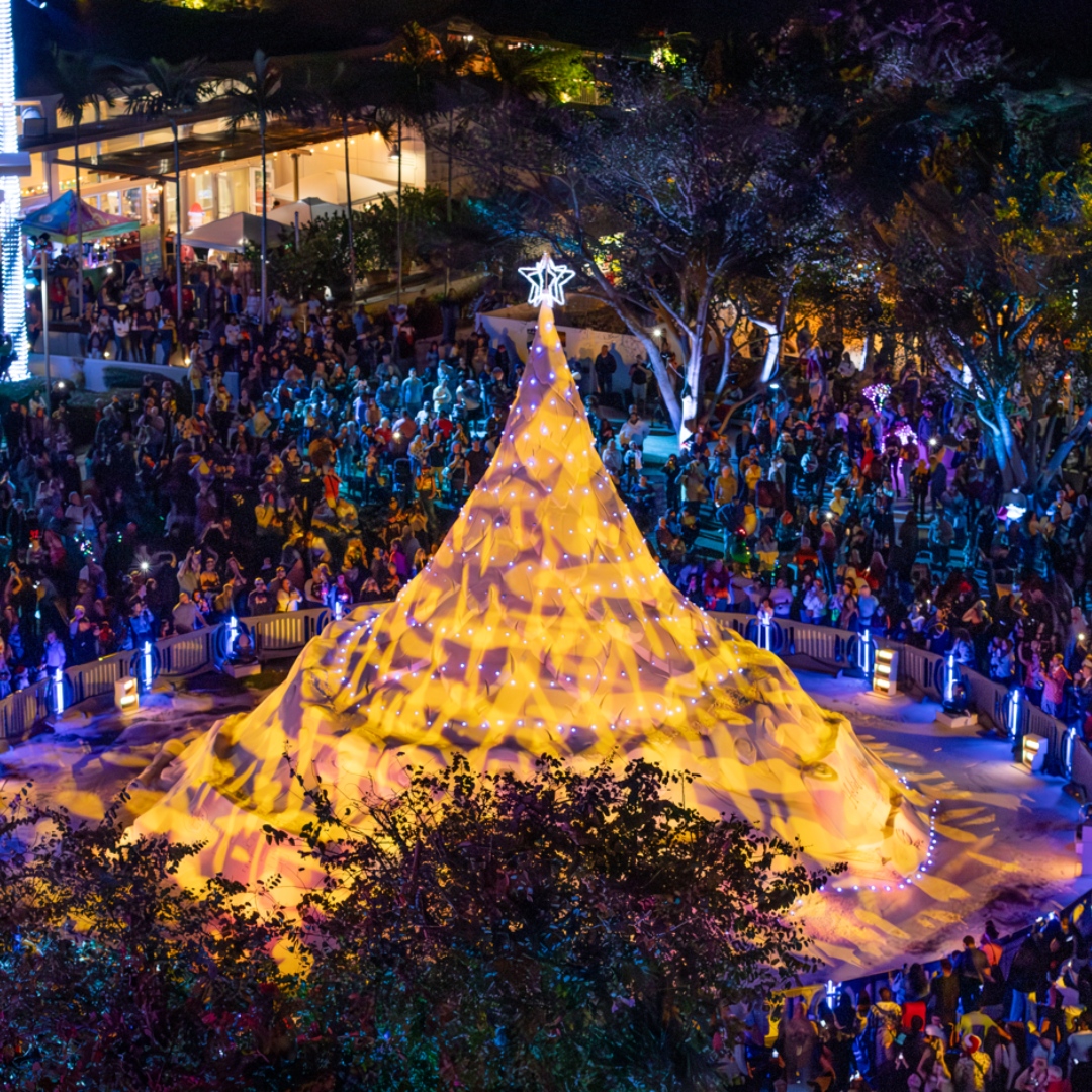 Sandi Holiday Tree tweet media