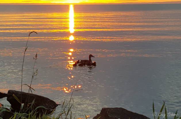 rembeatz's tweet image. Just keep singing #blogengage @labyrinthpiano laurelsandersmusic.com/blog/just-keep… RT @blogengage