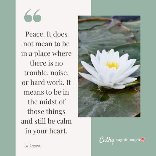 It's possible to #calm your #brain and body — even in the middle of chaos. It's a skill u can learn.

Six Ways To Instantly Calm Your Brain and Body buff.ly/2wLfnXD 

#peace #anxiety #mentalhealth #stress #Wednesdaymorning #Wednesdaywisdom #Wednesdayvibe #mind #anxiety