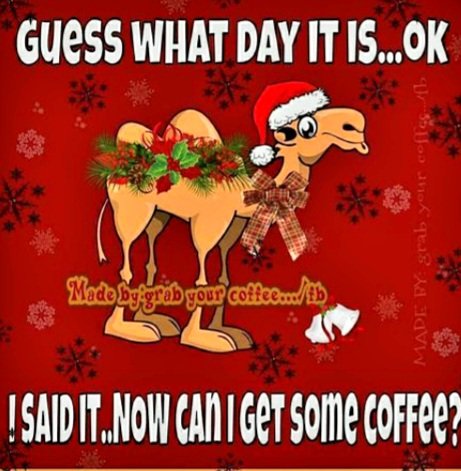NOW❓️❗️☕️#coffeetime #humpday #coffeebrewing #coffeebreak