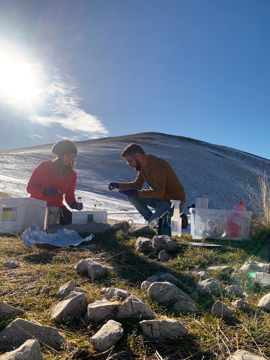 🏔️Sampling ❄️ day dedicated to unveil 🔬 the secrets of the active soil #microbiome🧬@bturchetti #soilecology #soilbiodiveristy #soilmicrobiome