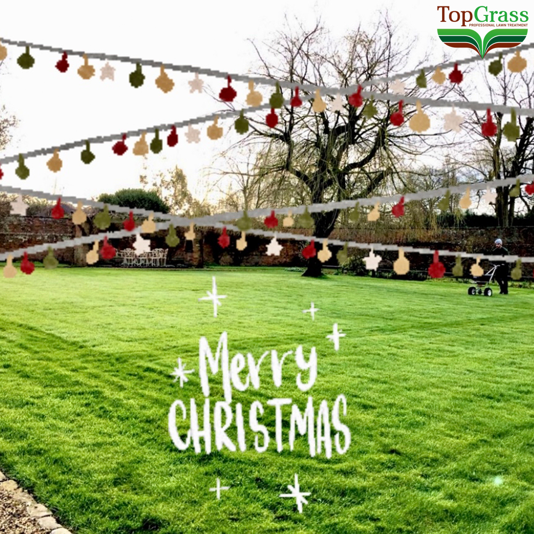 TopGrass tweet media