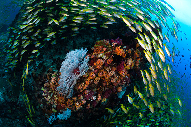 UNBiodiversity's tweet photo. "It is beyond time to rethink our relationship with nature. Or we will always be trapped in a race against time treating only symptoms of a dysfunctional relationship with our natural world rather than the cause"

@UNDP's Nature Hub Director,@MidoriPaxton: https://t.co/ciCbPFv1Kz https://t.co/453Yi3KROH