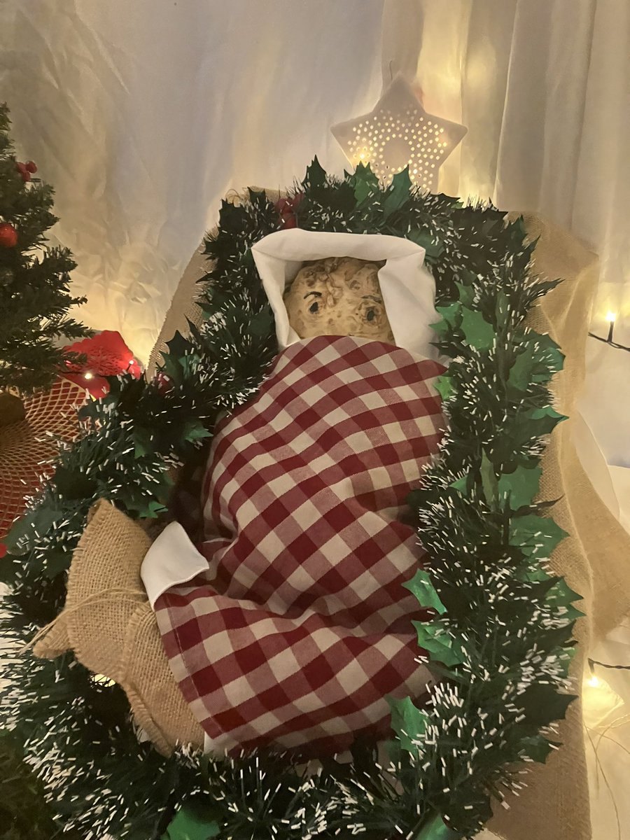Steph Beavis (@stephrbeavis) on Twitter photo A nativity scene with a Baby Jesus made of #Celeriac 🎄
The <a href="/Elsomsseeds/">Elsoms Seeds</a> office is looking unrecognisable A nativity scene with a Baby Jesus made of #Celeriac 🎄
The <a href="/Elsomsseeds/">Elsoms Seeds</a> office is looking unrecognisable
