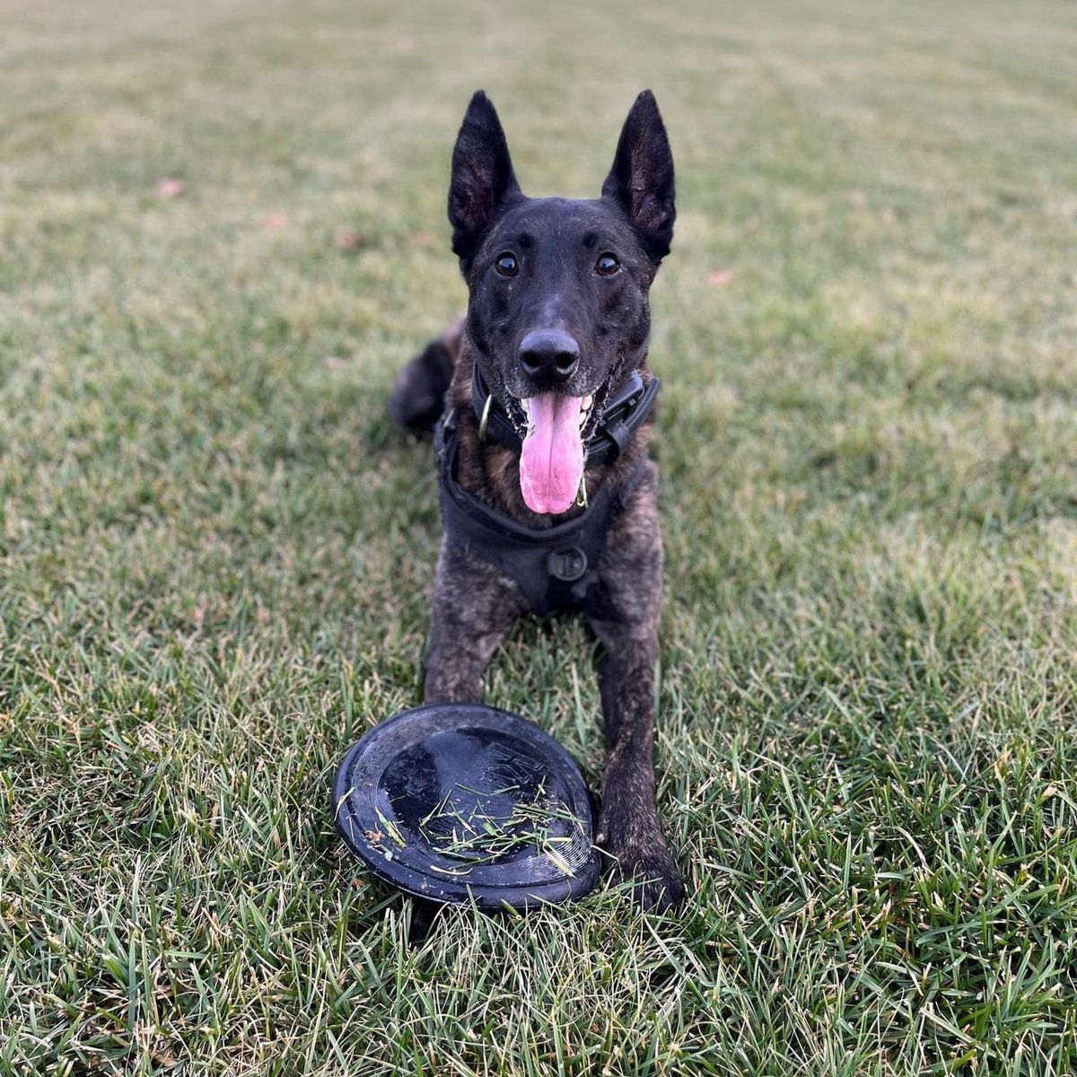 Bethlehem Police tweet media