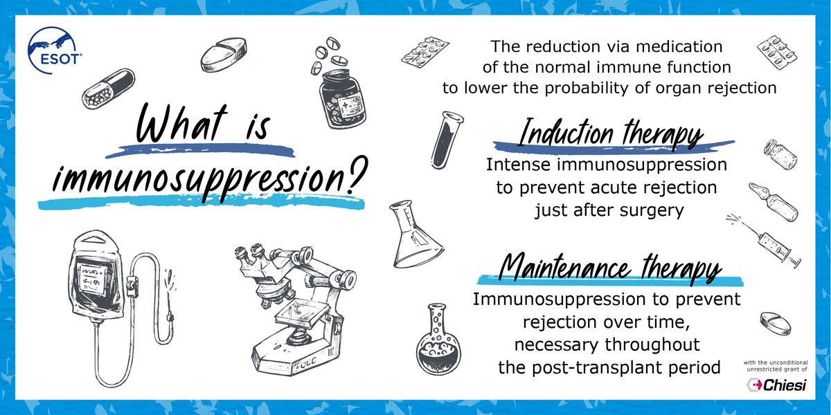 A key aspect in kidney transplants and reducing the risk of organ rejection is modulating the immune system's reactivity: immunosuppressants prevent it from attacking the new organ while keeping its ability to fight infections, bacteria, and other pathogens. #take2 #PoweredByESOT