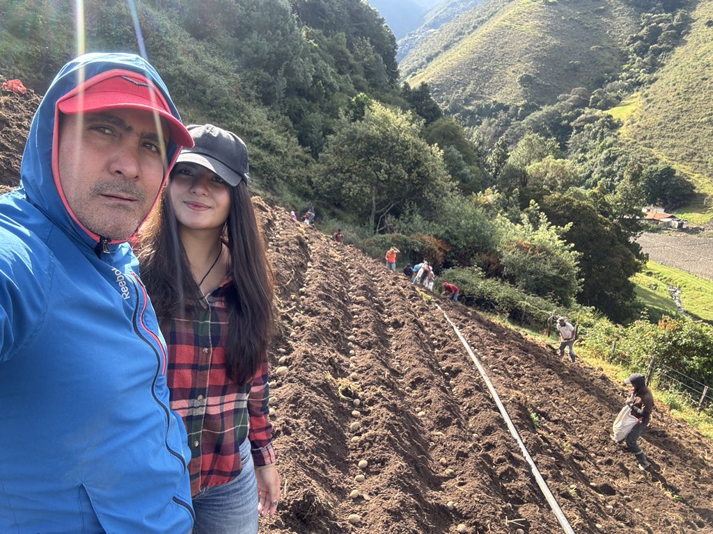 rjrmtoros's tweet photo. En Hda Las Porqueras del grupo #Inasveraca/@GanaLosRamirez sembramos papa variedad granola! Es nuestro aporte a la seguridad alimentaria de Venezuela #104añostrabajandoporvenezuela a punto de #105añostrabajandoporvenezuela https://t.co/afYxyxBwen
