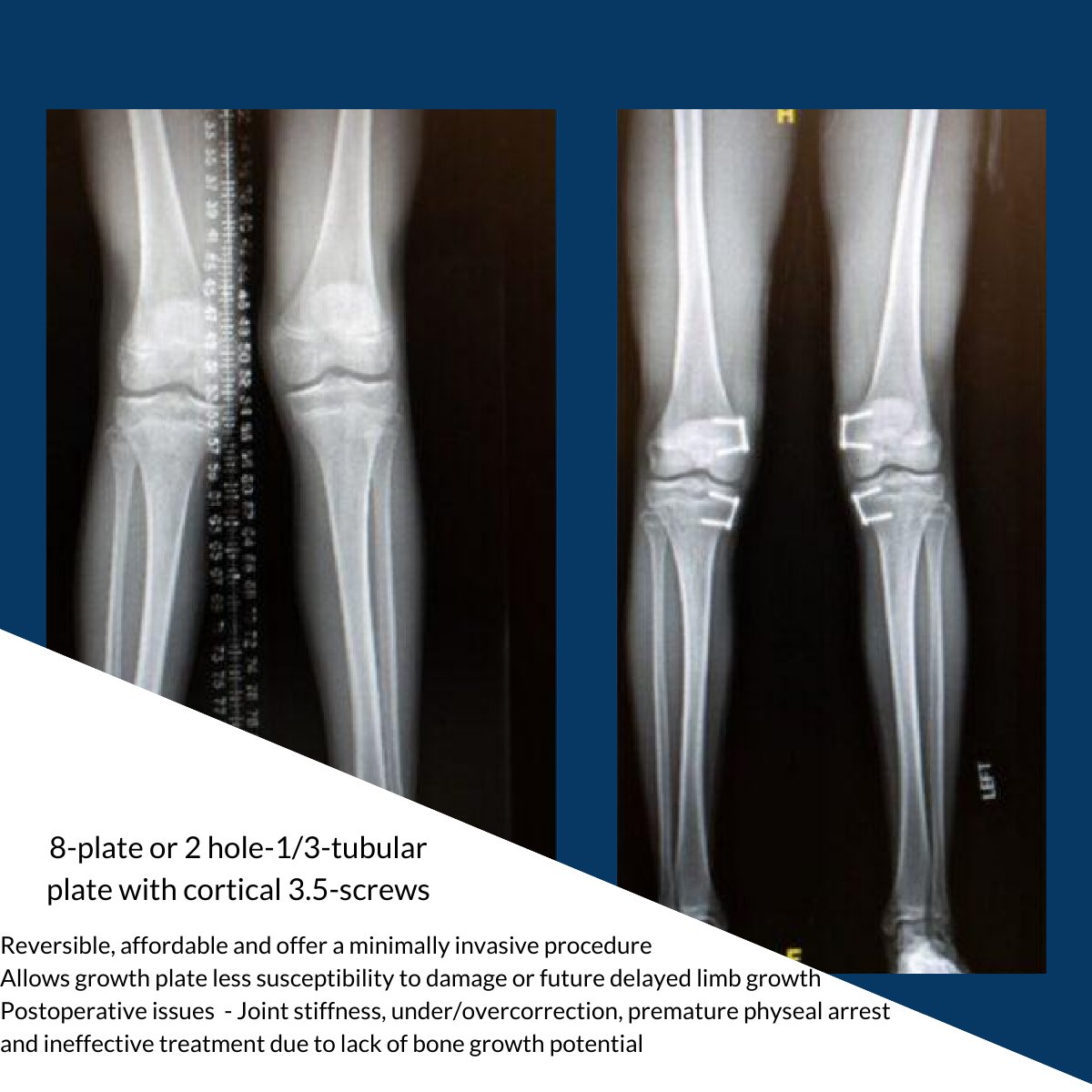 PAOS News tweet media