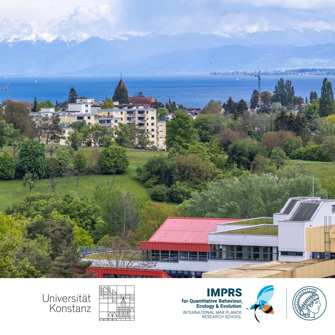 📢Pls #RT 📢 We're looking for the next coordinator of our graduate school @imprs_qbee 🐝 @UniKonstanz @CBehav Help create the supportive, dynamic, and diverse environment for #Phds to flourish and meet their potential in science and beyond💫🌱🌈 Apply ⏩tinyurl.com/mphy68wh