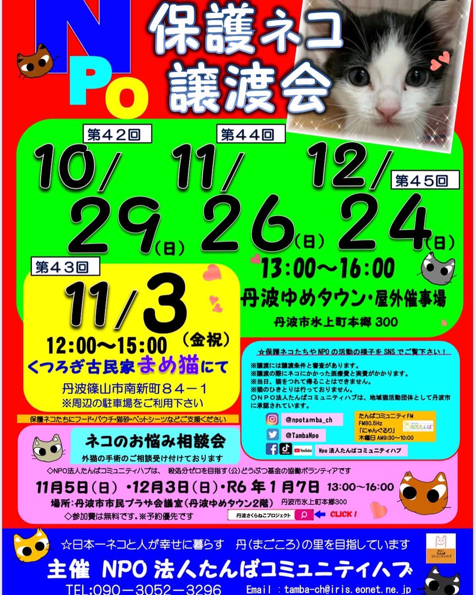 TambaNpo's tweet photo. 保護ネコの譲渡会を開催致します‼️

12/24(日)13〜16時

丹波ゆめタウン
(兵庫県丹波市氷上町本郷300)

皆様のご来場をネコたち、スタッフ一同でお待ちしております‼️
よろしくお願い致します😸
どうかご縁がありますように🙏✨✨
保護ネコを家族に迎えて下さい😸

参加ネコは約10〜15匹前後の予定です https://t.co/4sxaqwE8t8