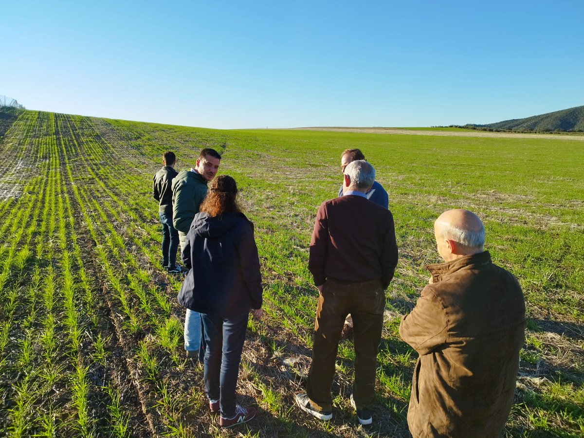 Life Innocereal EU (@life_innocereal) on Twitter photo 📸 Fotografías de la visita de la monitora del #proyecto europeo #LIFEInnocerealEU a la Finca de Rabanales para conocer las tareas realizadas hasta el momento para la #producción #sostenible de #cereales
<a href="/LIFEprogramme/">LIFE Programme</a> #LIFEproject 📸 Fotografías de la visita de la monitora del #proyecto europeo #LIFEInnocerealEU a la Finca de Rabanales para conocer las tareas realizadas hasta el momento para la #producción #sostenible de #cereales
<a href="/LIFEprogramme/">LIFE Programme</a> #LIFEproject