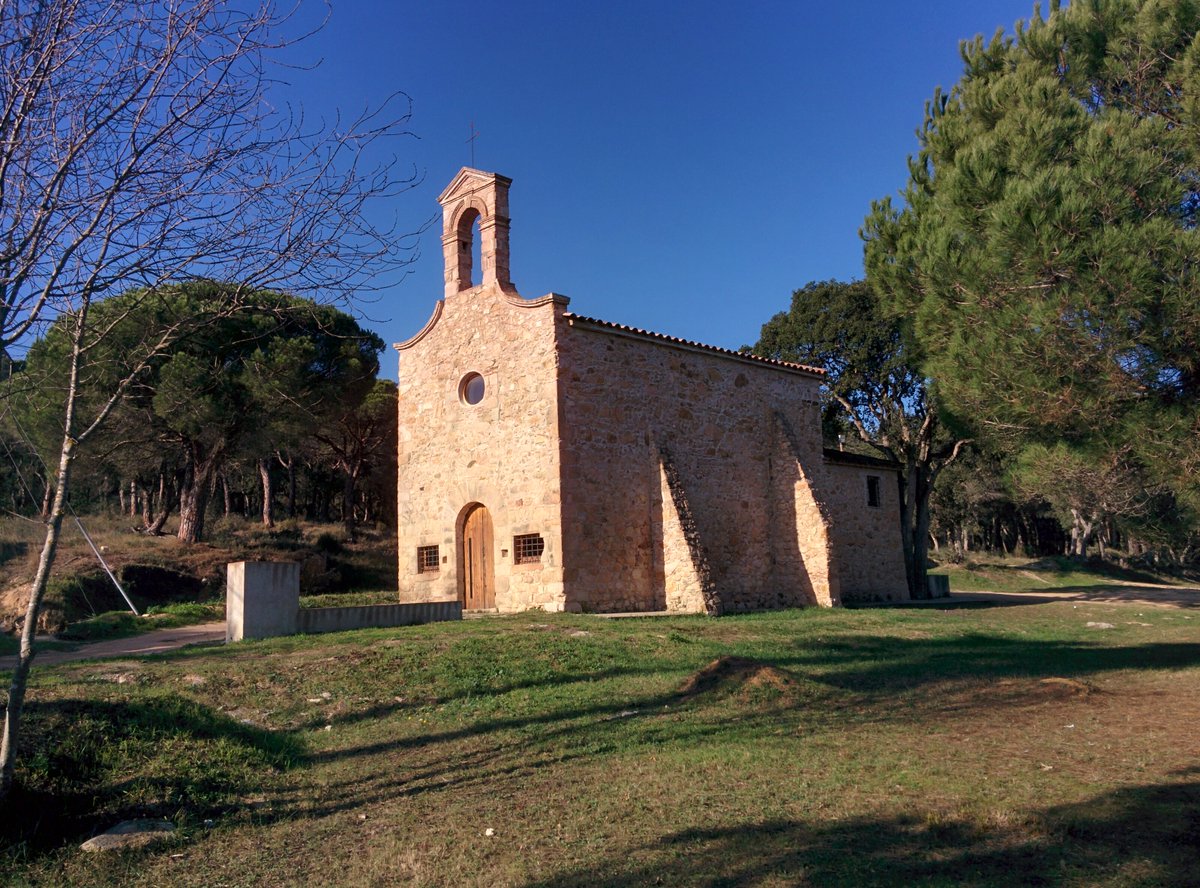 a Singer of Songs tweet media