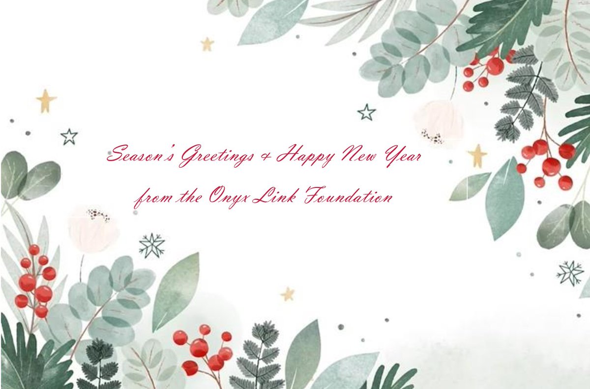TheOnyxLink's tweet photo. Thank you to everyone who supported and participated in the Harmony Project this year ❤️ We hope the tireless work of our wonderful volunteers bought a little peace, understanding and harmony to the community🕊️ Season's Greetings to all 🌲 #Peace #community #volunteers #schools https://t.co/g2UTcFnFQl