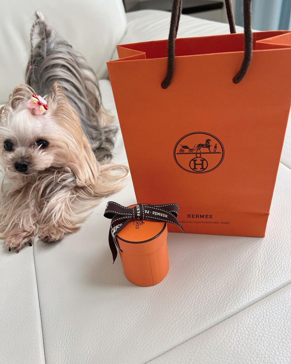 #シロダーラ #アーユルヴェーダ #日本シロダーラ協会 #脳メンテナンス #よもぎ蒸しサロン #おかま直伝よもぎ蒸し®️ #ハーブリーディング®️ #温活 #メイクセラピー #ファスティング #健康美容食育士 #分子整合医学健康美容食育協会 #自己受容 #きれいになりたい