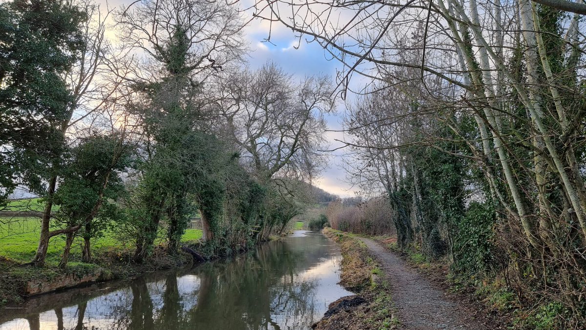 Yesterday brought delightful winter weather on the Montgomery Canal. We took the opportunity to explore our new signage, discuss towpath usage monitoring, and witness great progress in completing the first segment of this winter's dredging programme! #LevellingUpFund #Wales