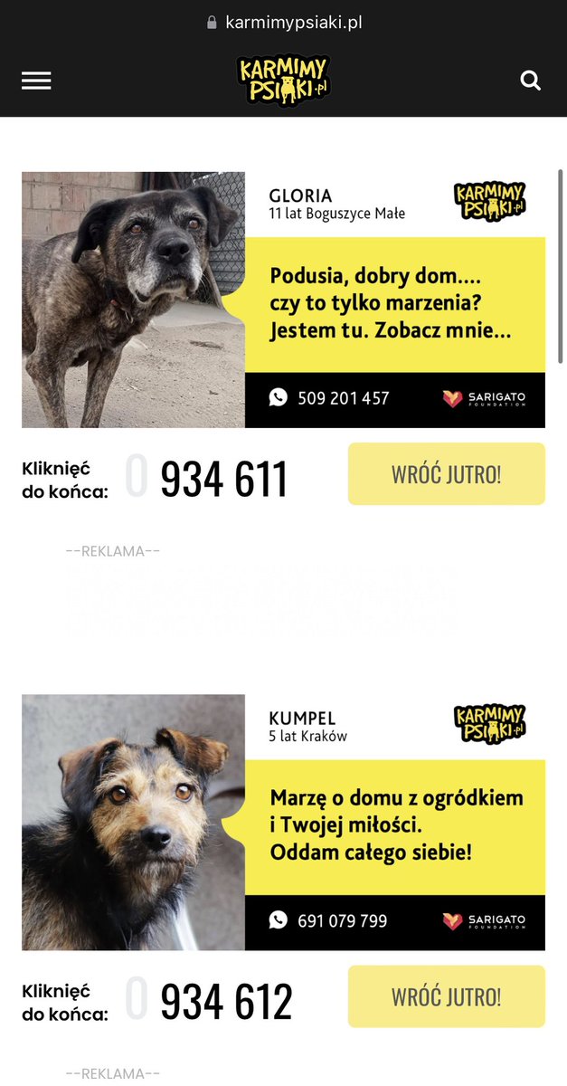 angelliczkaa's tweet photo. widziałam, że ktoś już to wstawiał, ale również chciałabym pobić tę akcje!! dawajcie rt, żeby więcej osób widziało🥹🥹 https://t.co/xGdhgTEtoc