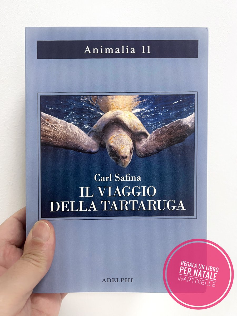 Sono felice di segnalare oggi un titolo magnifico, un #RegalaUnLibroPerNatale perfetto per sensibilizzare i più giovani. Il viaggio della tartaruga di @carlsafina, collana #Animalia di @adelphiedizioni, traduzione di Isabella C. Blum. In questo saggio l’ecologo e divulgatore…