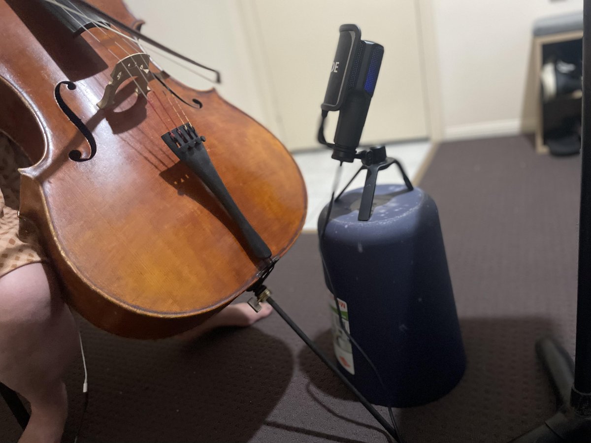 Acacello tweet media