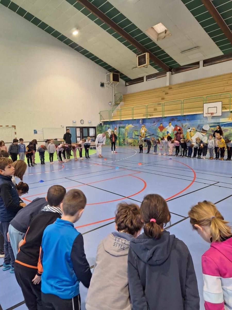 Journée Départementale Jeux d'opposition vers le Judo pour les élèves de cycles 2 à Soustons en partenariat avec le Comité des Landes de Judo, Ju-Jitsu et Disc. Associées.