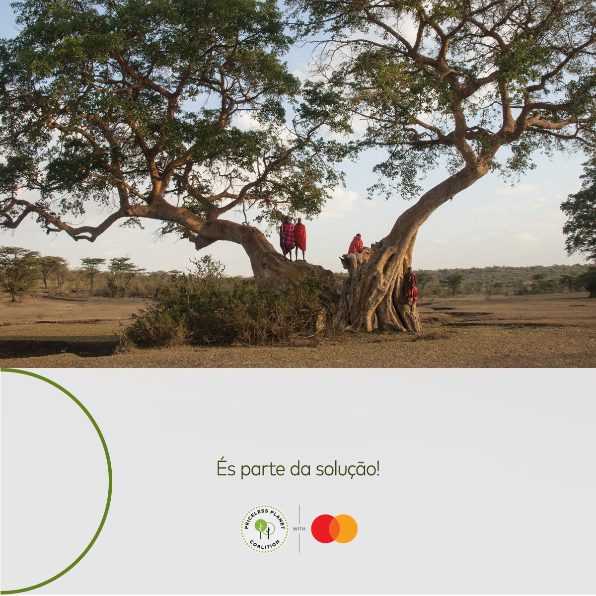 MastercardPT's tweet photo. A reflorestação é uma das melhores formas de recuperar a biodiversidade. Por isso é que a #Mastercard vai plantar 100 milhões de árvores em todo o mundo através da #PricelessPlanetCoalition. Também pode ser parte da solução. Saiba como em https://t.co/Q72a5mltX6 https://t.co/RvRWEFhZHL