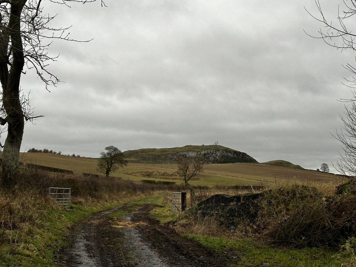 silverhills64's tweet photo. Whilst bagging a nearby fort on a rather dreich day, we spotted the majestic Sweethope Hill a #multivallate fort and later #prehistoric settlement #HillfortsWednesday https://t.co/uUl6gTFqIb