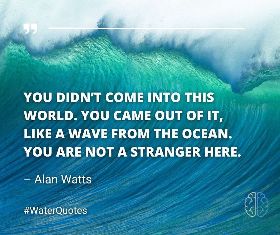 FloatNeuro's tweet image. #NeuroFloat