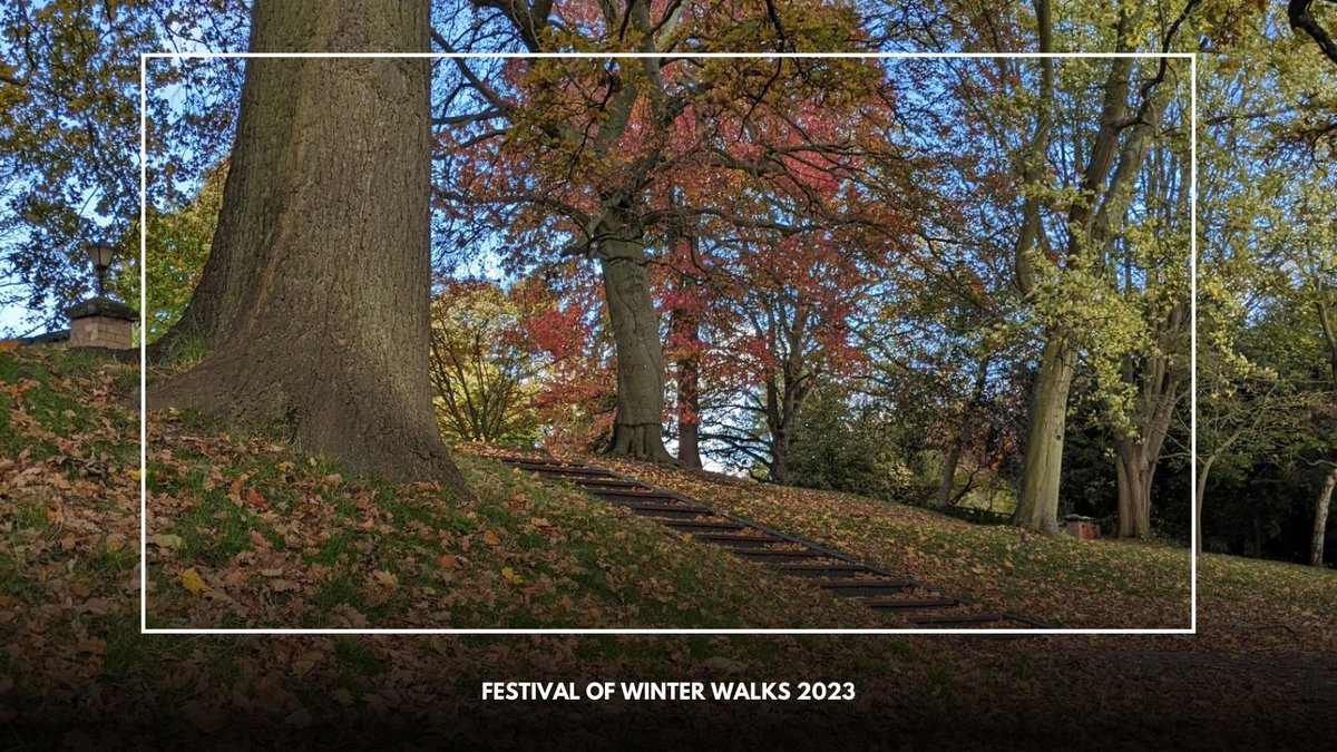 The #FestivalOfWinterWalks is currently ongoing and is a perfect opportunity to shake off that #winter slump & get some fresh air! The cold weather and early sunsets can make us feel sluggish and tired, so try to take the opportunity during the day to enjoy the local nature🍂 ❄️